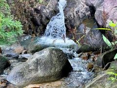 -广州白江湖森林公园