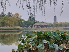 -西海子公园