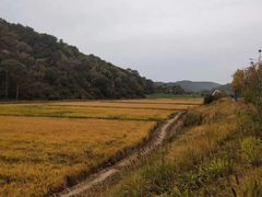 -南泥湾风景区
