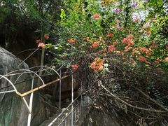 -鸿山公园