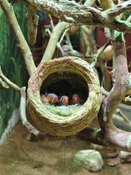 -Zoolung Zoolung动物主题公园(海信广场店)