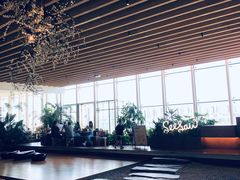 -Seesaw Coffee(朝阳大悦城店)