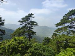 -大芦花风景区