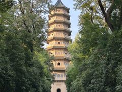-灵谷景区
