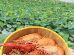 -七的湖·晚芳亭·阳澄湖农家菜·大闸蟹(莲花岛店)