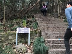 -紫金山索道-售票处