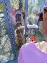 点击看大图 -萌宠亲子动物乐园(槐房万达店)