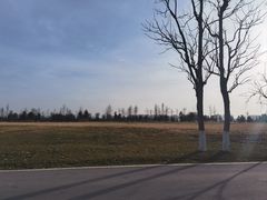 -汉长安城未央宫国家考古遗址公园