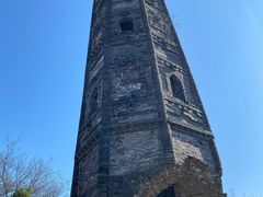 -上海佘山国家森林公园天马山园