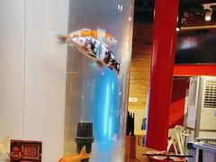 -秤砣砣·湖南粉面馆(青年路店)