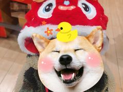 -九木杂物社(中心店)