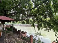 -成都市活水公园