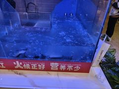 -三江源活鱼现烤(维多利摩尔城店)