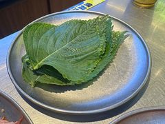-大叹号·朝鲜族烤肉(潍坊泰华城店)