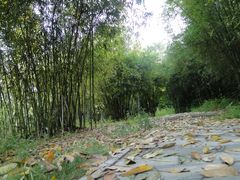 DSC08266-湖光岩风景区