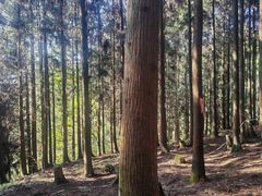 -山王坪喀斯特国家生态公园
