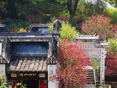 -乌山风景区