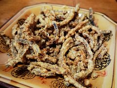 -乐山第一家临江鳝丝(茶坊路店)