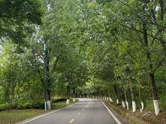 -仙海旅游度假区