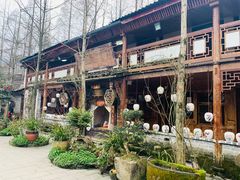 -青城甲(青城山店)