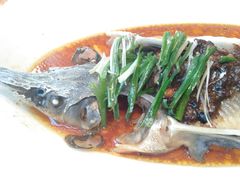 豉椒蒸软骨鲟龙鱼-万龙洲海鲜(大兴绿地缤纷城店)