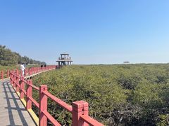 -北海金海湾红树林生态旅游区