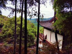-韬光茶庵
