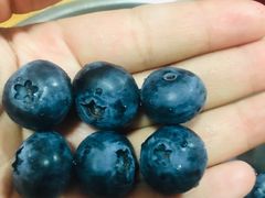 蓝莓-上海龙吴水胜海发市场