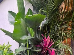 -春暖花开(西溪店)