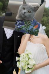 -花漾摄影优选工作室(东莞原创作品店)