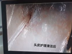 -飞梵造型