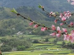-绩溪龙川景区