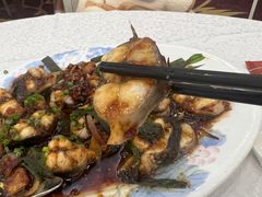 -沙田新强记烧鹅海鲜酒家