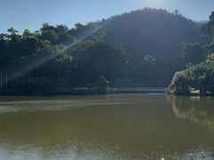 -西双版纳原始森林公园