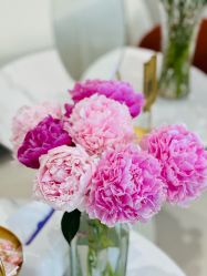 -WENDY·温迪皮肤管理