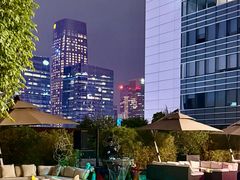 -深圳星河丽思卡尔顿酒店