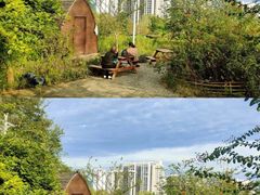 -南山植物园