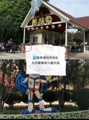 -酷酷兔少儿拓展天地