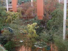 DSC01479-绿色时代大酒店