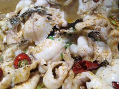 -百岁鱼(望月路店)