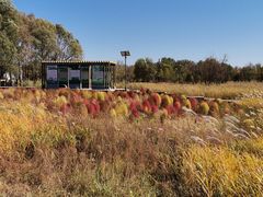 -野鸭湖国家湿地公园