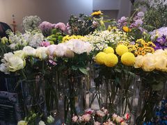 -花未央花店·WEYOUNG