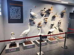 -天津古林古海岸遗迹博物馆