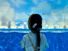 -泉城欧乐堡海洋极地世界