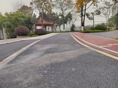 -大渡口区义渡公园