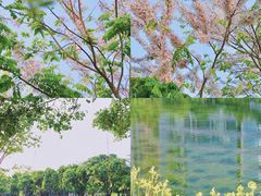 -四海公园(南山区)