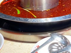 -蜀滋香鲜鱼美蛙火锅(339店)