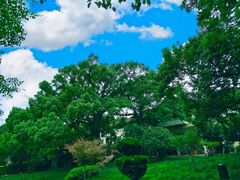 -普陀山雷迪森庄园