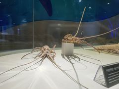 -泉城欧乐堡海洋极地世界