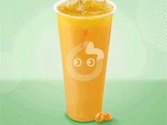 沙棘养乐多-CoCo都可(梅李大梦想城店)